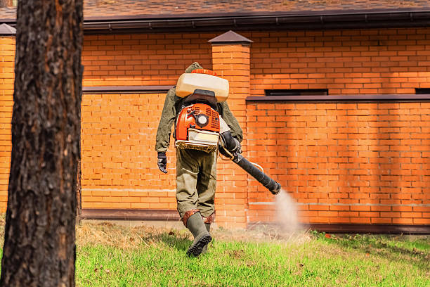 Trusted Termite Control service in Moundridge, KS - Nex Pest Control